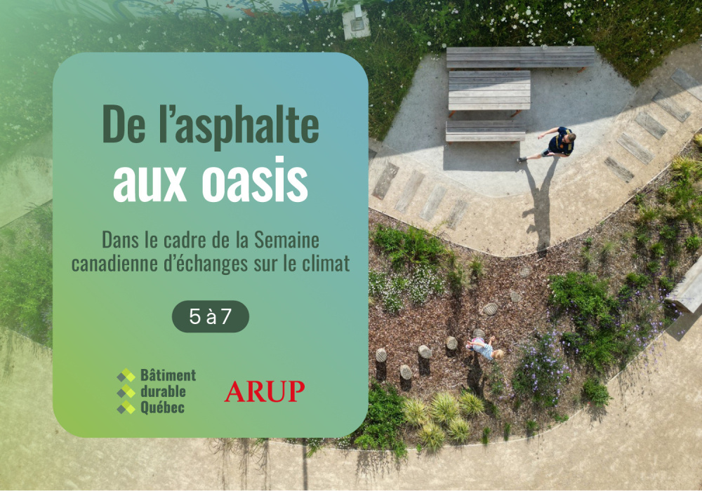 De l’asphalte aux oasis