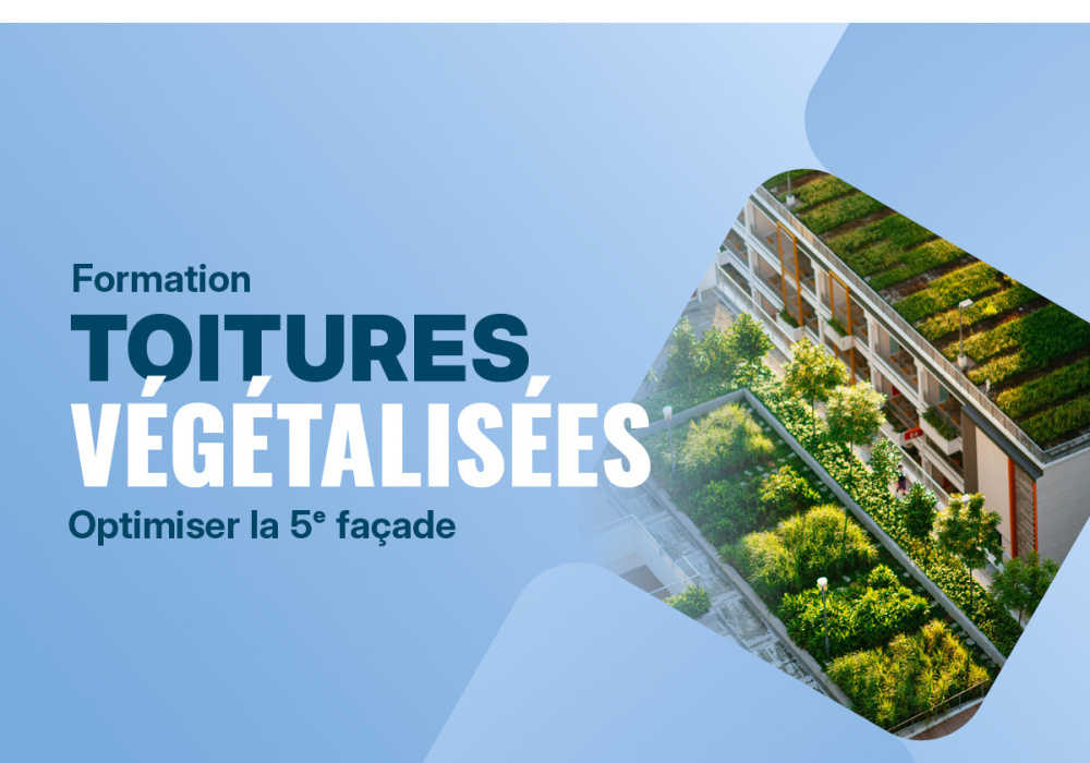 Toitures végétalisées - Optimiser la 5e façade